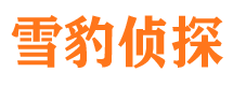 林西侦探公司